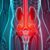 Choroby urologiczne: Objawy, diagnostyka i metody leczenia