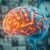Choroba Alzheimera: objawy, przyczyny i metody leczenia